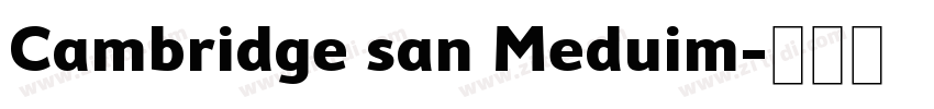 Cambridge san Meduim字体转换